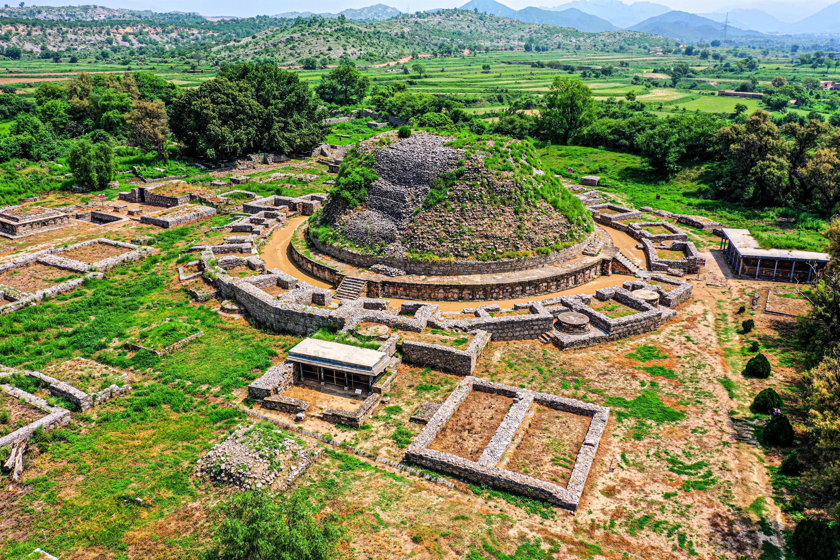 Taxila-0